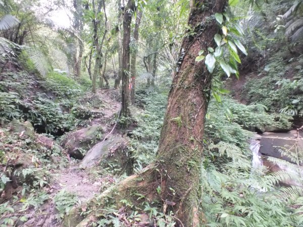 百二階古道+苕谷瀑布+逸仙山+泰和樓2734437