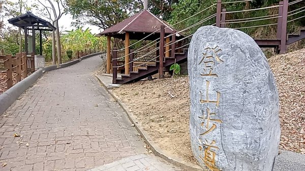 20221229 阿罩霧山 中心瓏步道 玉蘭谷 櫻花步道 大O型1975596