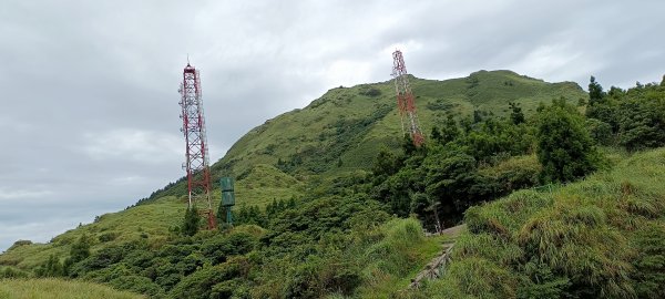 20230729_七星山主峰東峰步道2234441