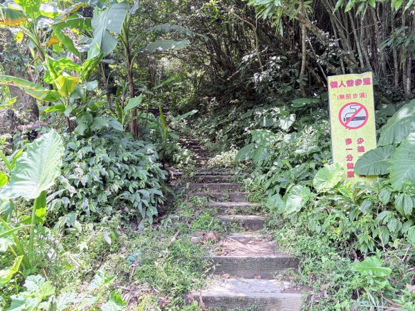 馬胎古道、南坪古道3080416