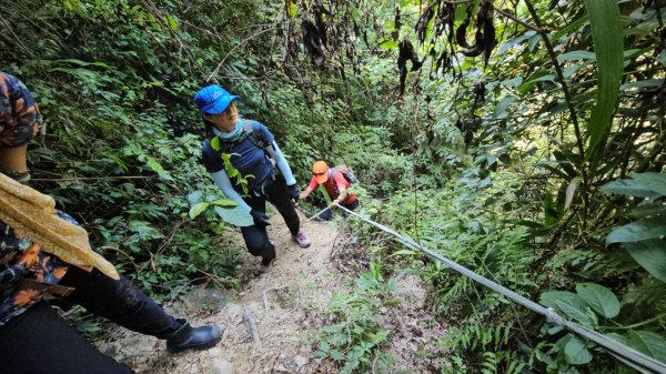 烏桶縱走(烏來山→大桶山)忠治出全紀錄2915210