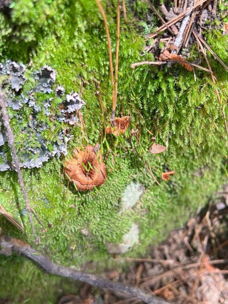 ~ 池 有 山 / 品 田 山 ~2854052