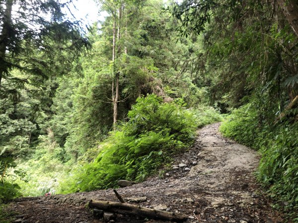 宜蘭 四季 加羅湖633823