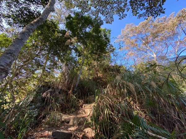 唐麻丹山-松鶴上三角點O型回松鶴2378378