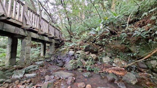 台北大縱走第一段1249209