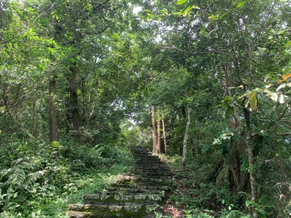 大崎棟古道、騎龍古道2772248