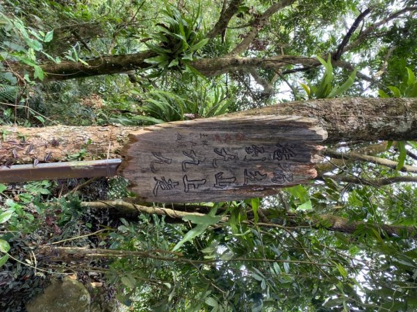 1111022獨立山2652964