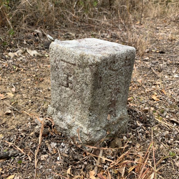 20250405屏東頂楓港山-上楓港山2757481