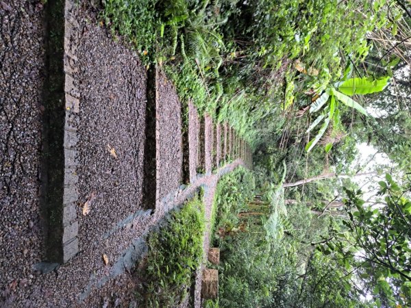 桃園石門山步道3111722