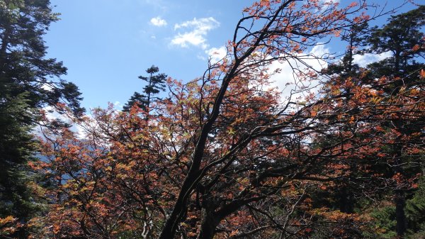 北二段之閂山、鈴鳴山1181073