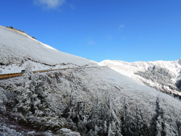 合歡山也有藏王樹冰的雪景510327