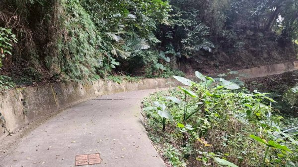 20260107竹東三山跟寶山十連峰2980132