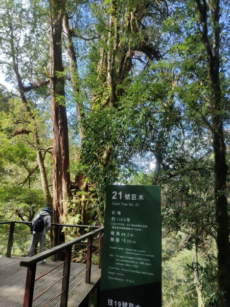 拉拉山國家森林公園2418057