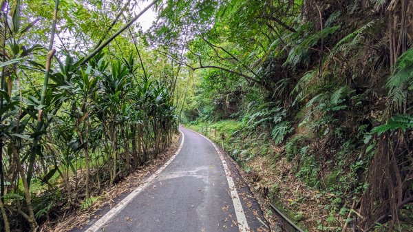 石笋古道,遇見雞母嶺2340699