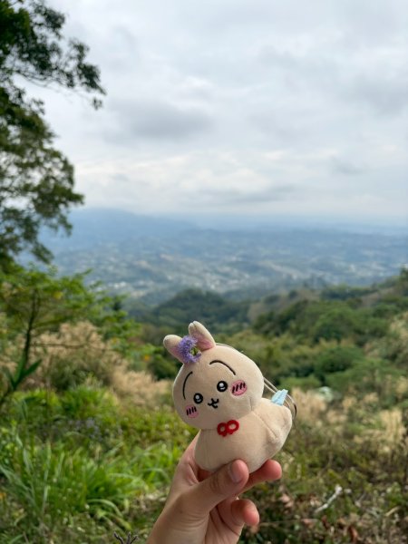 2026/02/28關刀山3008083