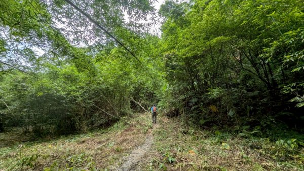 114.06.14雙石縱走&石門水庫-石牛山之旅2812258