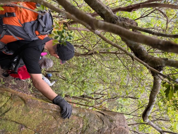 桂山路197巷 》呂奔山北峰 》呂奔山 》阿玉壩2755816