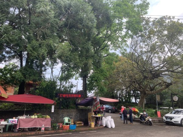 大崎棟古道、騎龍古道2772236