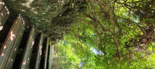 柴山登山步道1454346