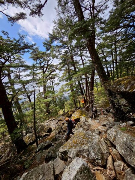 20260320四個毆鷄桑🦸‍♀️南橫溪頭山O繞關山嶺山3022703