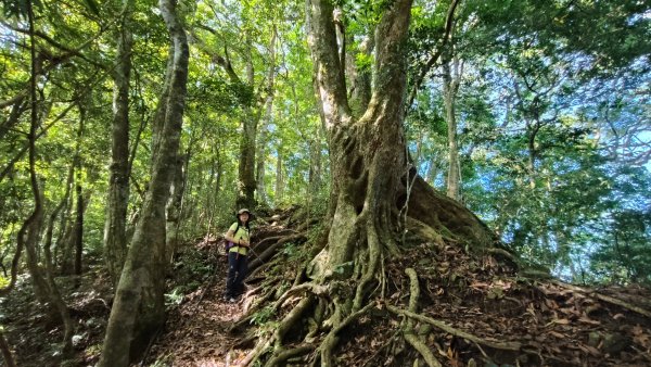 大混李棟山2816328