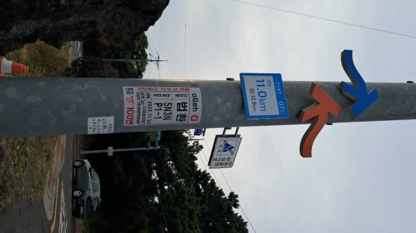 偶來小路走走2942608