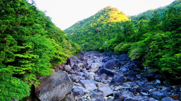 南九州－屋久島繩文杉步道3063478