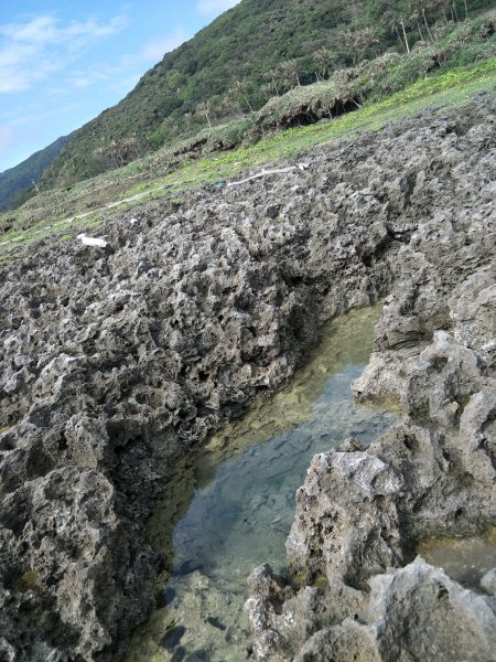 九棚草原-海岸1346351