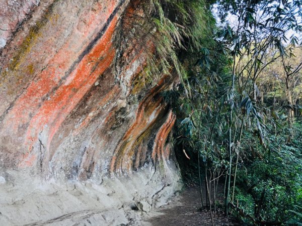 三峽福德坑山（鳶山彩壁）11001241246152