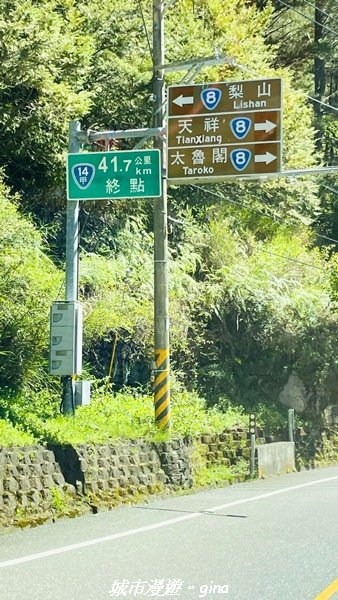 【花蓮秀林】台灣百大必訪步道。 白楊步道2230622