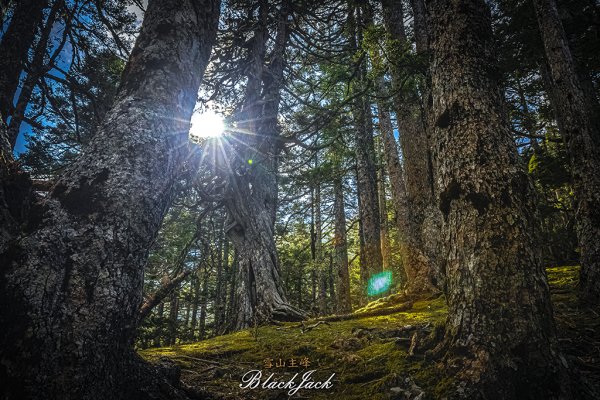 雪山主峰一日單攻963344