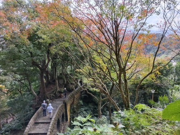 汐止區北港山+拱北殿楓情O型2976007