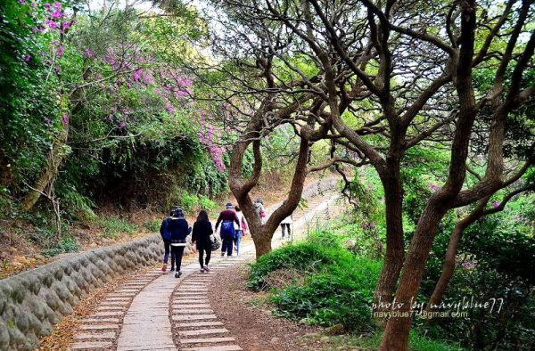 【新竹】登高遠眺看夕陽－鳳崎落日步道+蓮花寺步道