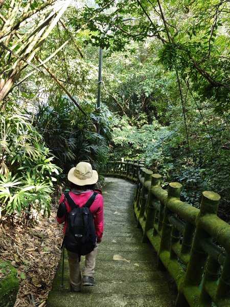 2026-0221造鎮-太極嶺-桐花公園-承天禪寺-永寧站3005820