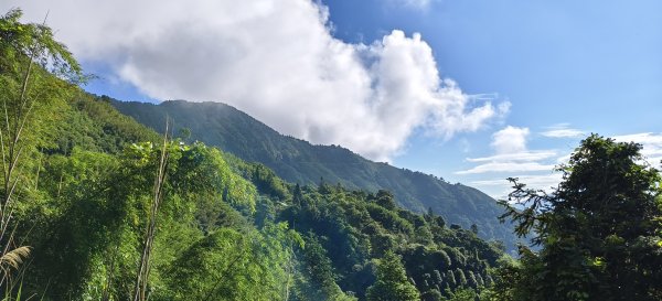 2025/06/07-鳥嘴山步道2805974