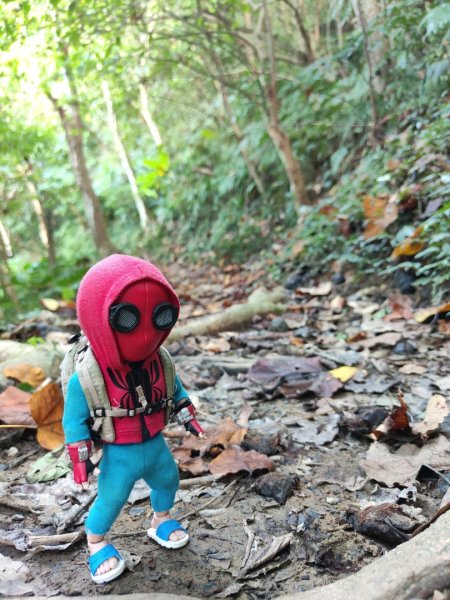 2023.12.14 土城天上山2827280