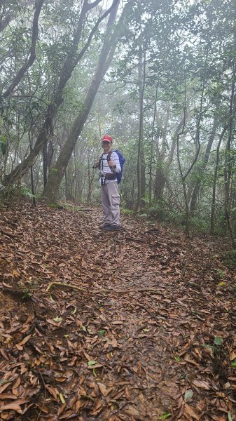 2025-01232淡蘭古道北二段(燦光寮古道到澳底)2696622