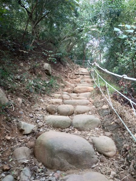 火炎山一日遊798009