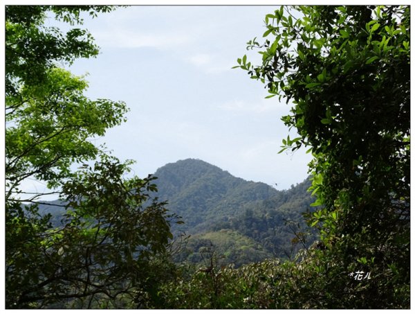 裡冷山、裡冷山南峰 ( 台中、和平 )1645806
