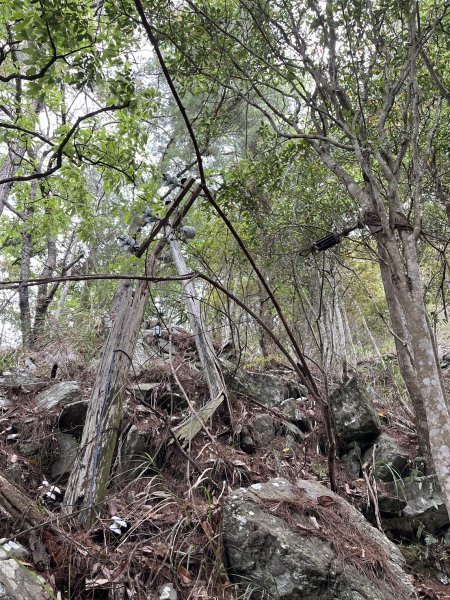 台中 和平 波津加山2761894