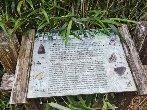 [百山百鳥尋旅-11/15] 2025_0927 大屯主峰-連峰步道_大屯山2899276