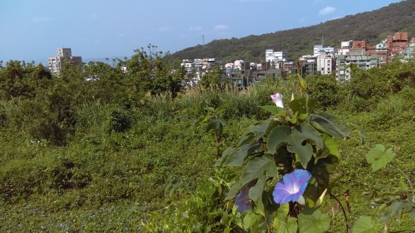 溪水潺涓的半嶺水圳步道、硫氣氤氳的龍鳳谷890839