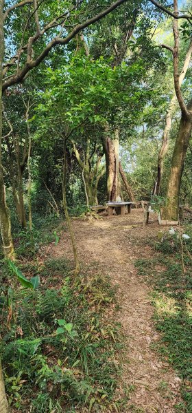 2026_01_18_探索你的後花園@土城2985006