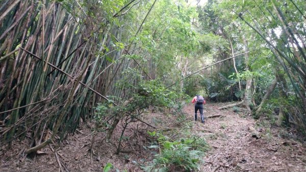 璀璨百年淡蘭古道～象寮古道、石空山、坪溪古道、梗枋古道O走1339428