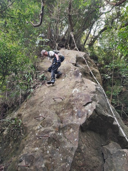 五寮尖登山步道 - (新北)臺灣百大必訪步道2312560