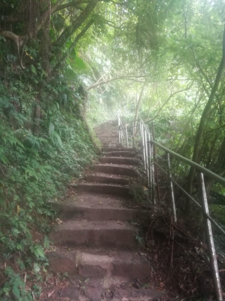 小百岳013號～南港山，幾乎整路爬樓梯，不怕樓梯者限定1348537