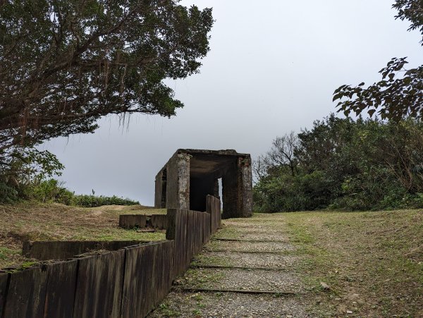 2023-02-11 槓子寮砲台、槓子寮山步道（龍崗步道）2792635