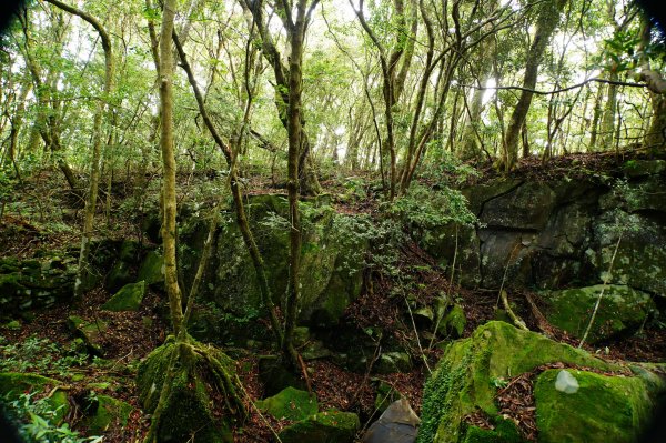 新竹 尖石 大混山、牛欄坑山、李崠山3058563