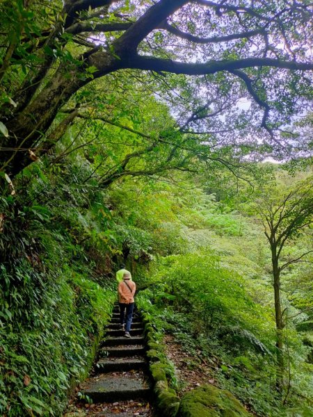 [走遍陽明山］：絹絲瀑布步道+金包里大路+金山老街2186402