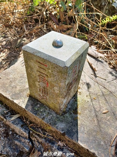 【嘉義。阿里山鄉】小百岳集起來。 編號60小百岳-奮起湖大凍山步道1579185